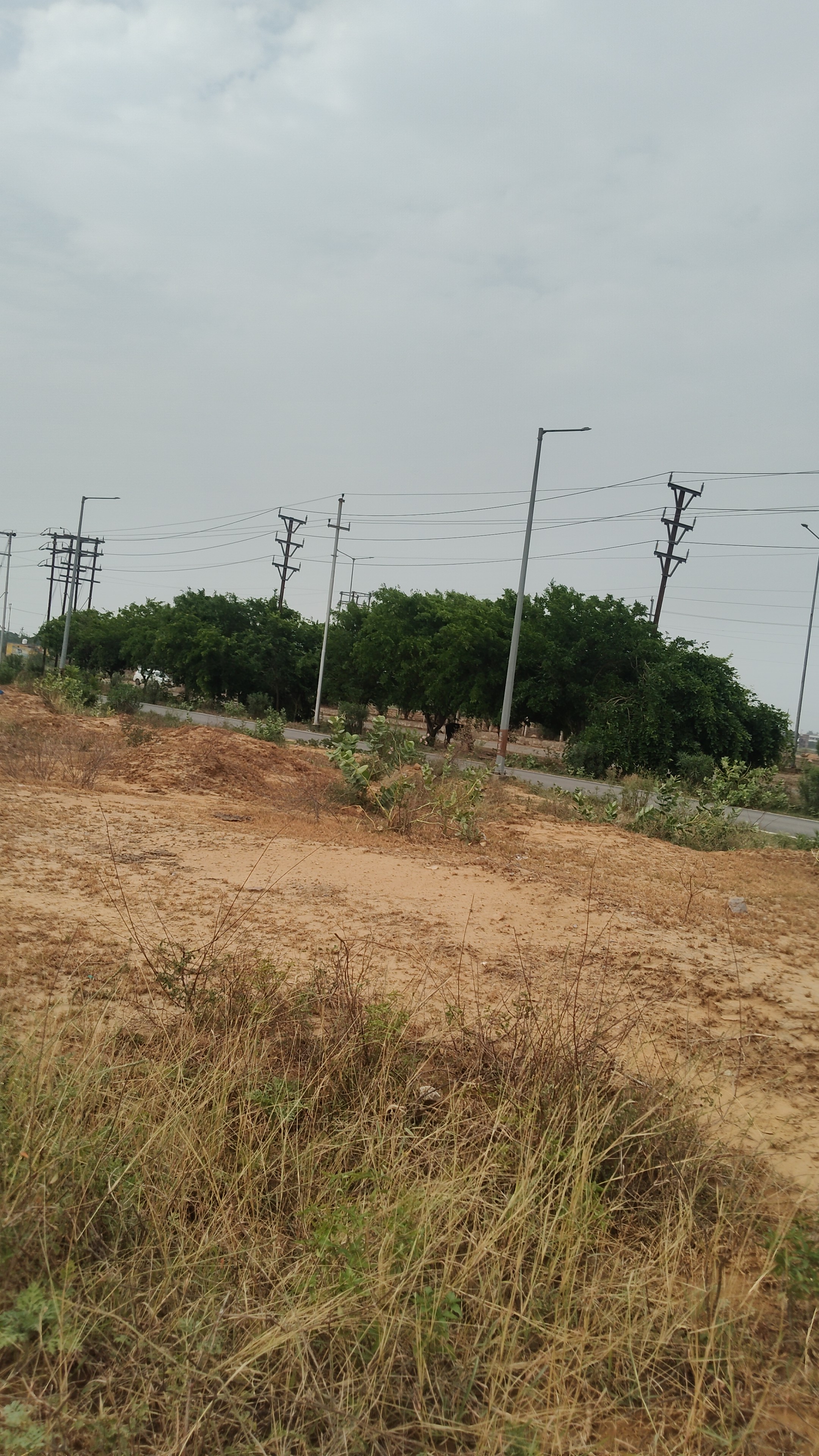 6000 Sq meter industrial plot in techzone shadulahpur Noida