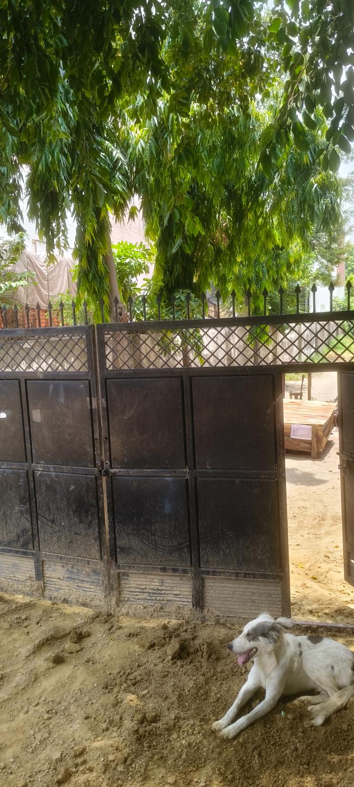 1035 sq mtr industrial Building in Ecotech 3 UK 2 Greater Noida