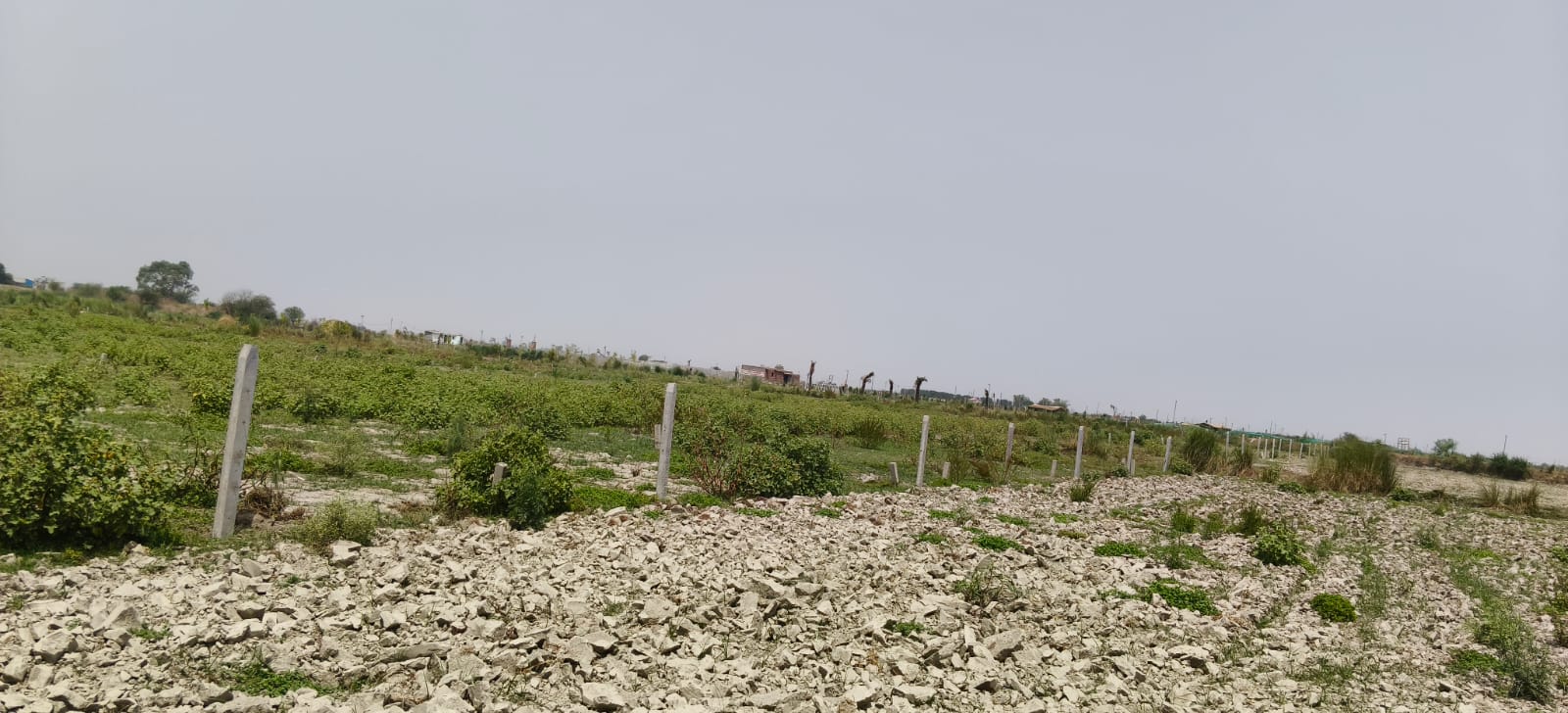 Industrial plot 2400 sq yard in Delhi Mumbai Expresway Gurgaon
